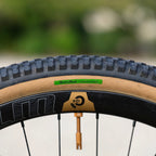 BRUCE GORDON Rock'n Road Tire