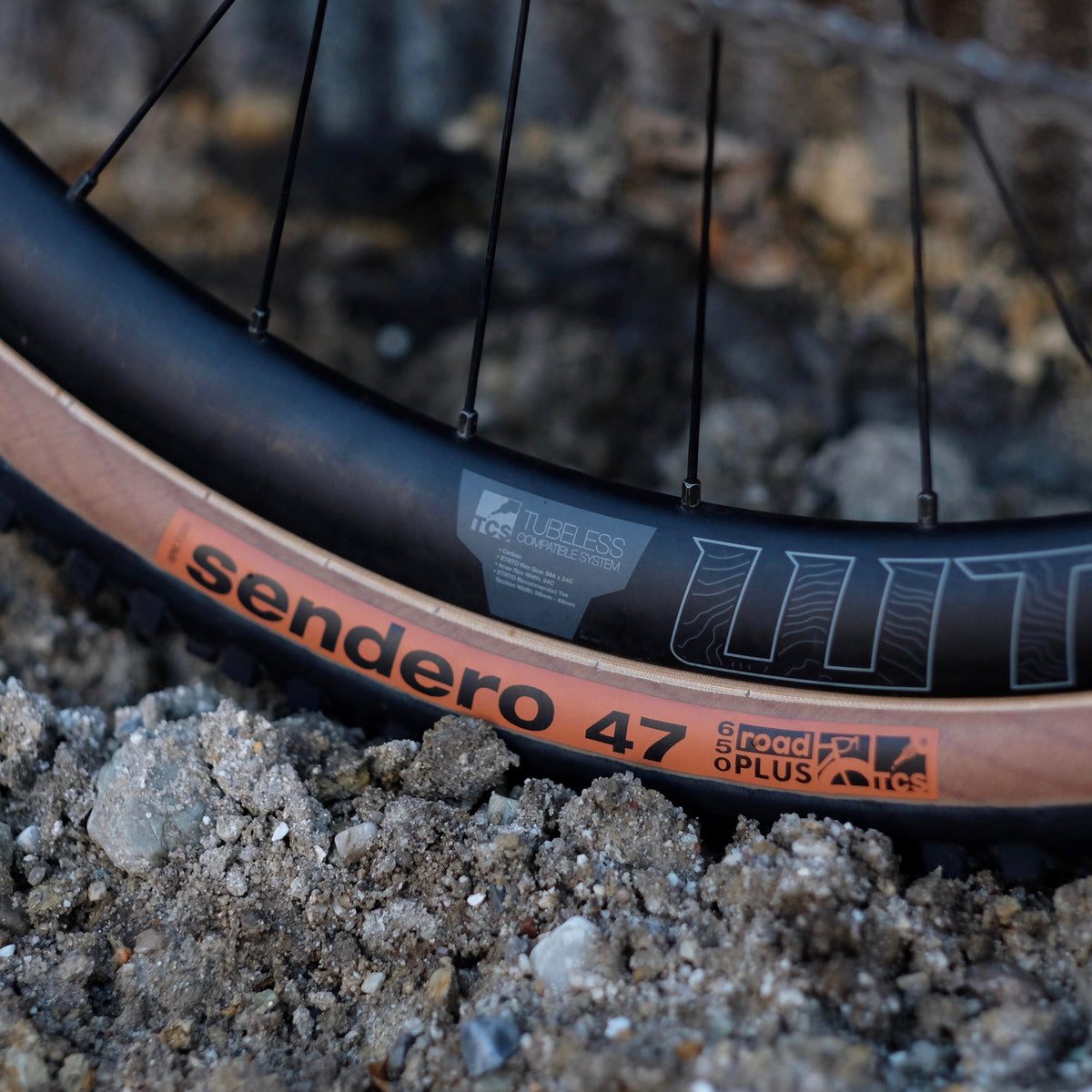 WTB Sendero