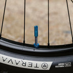 PEATY'S x Chris King Mk2 Tubeless Valves