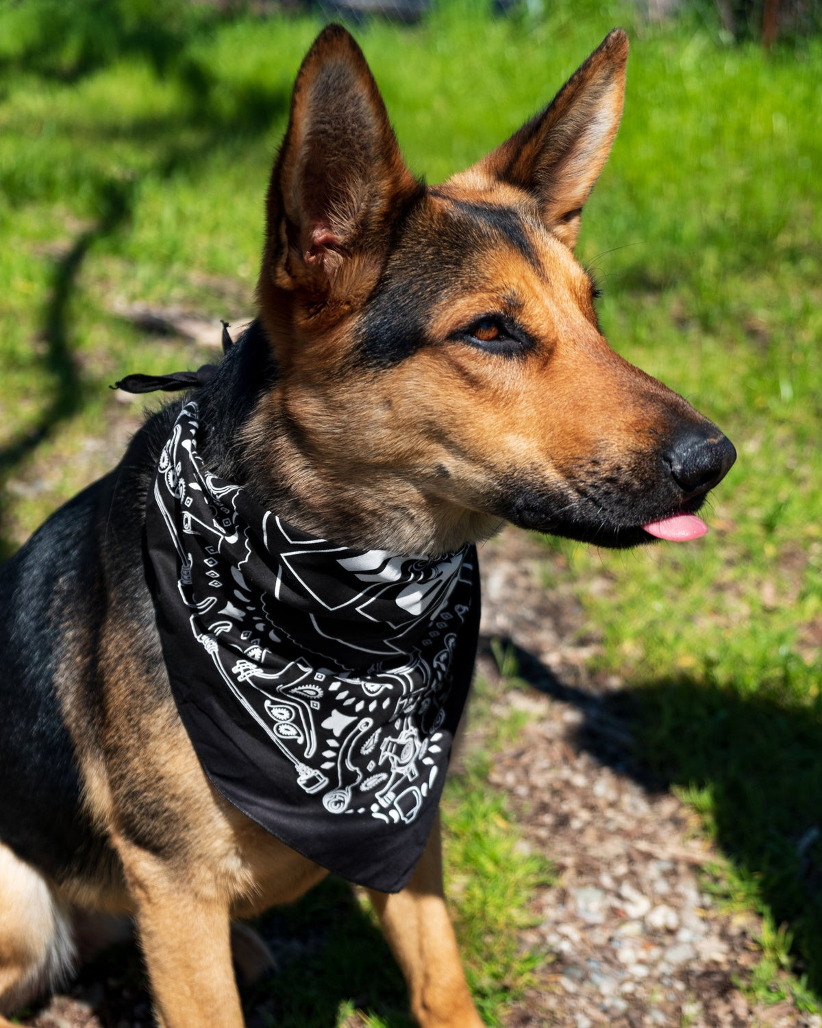 PAUL COMPONENT Dune Buggy Bandana