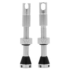 PEATY'S x Chris King Mk2 Tubeless Valves
