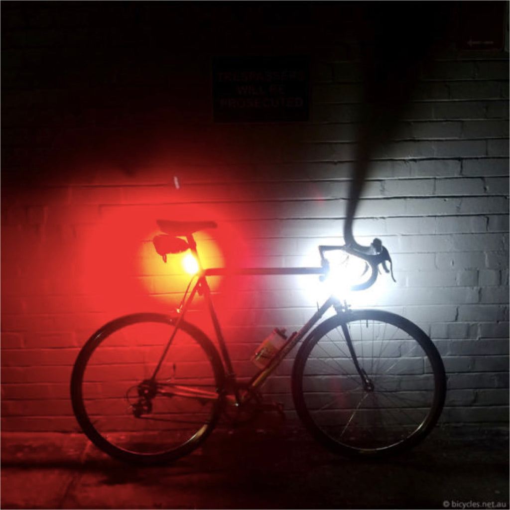 KNOG Big Cobber
