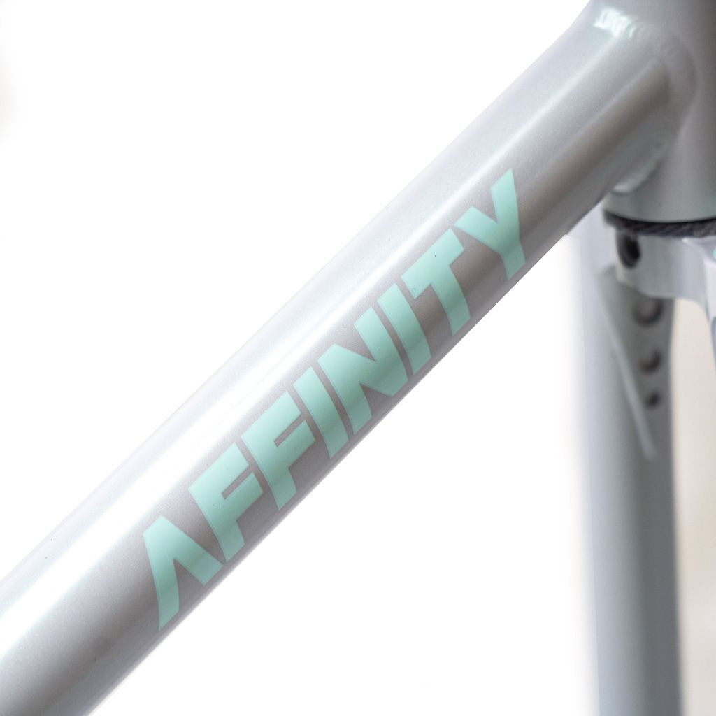 AFFINITY CYCLES Metropolitan Track Frame Set