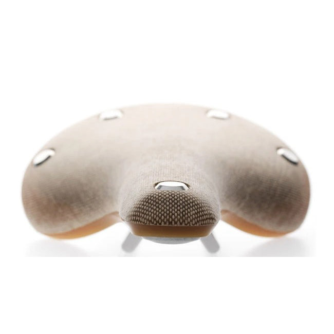BROOKS Cambium C17