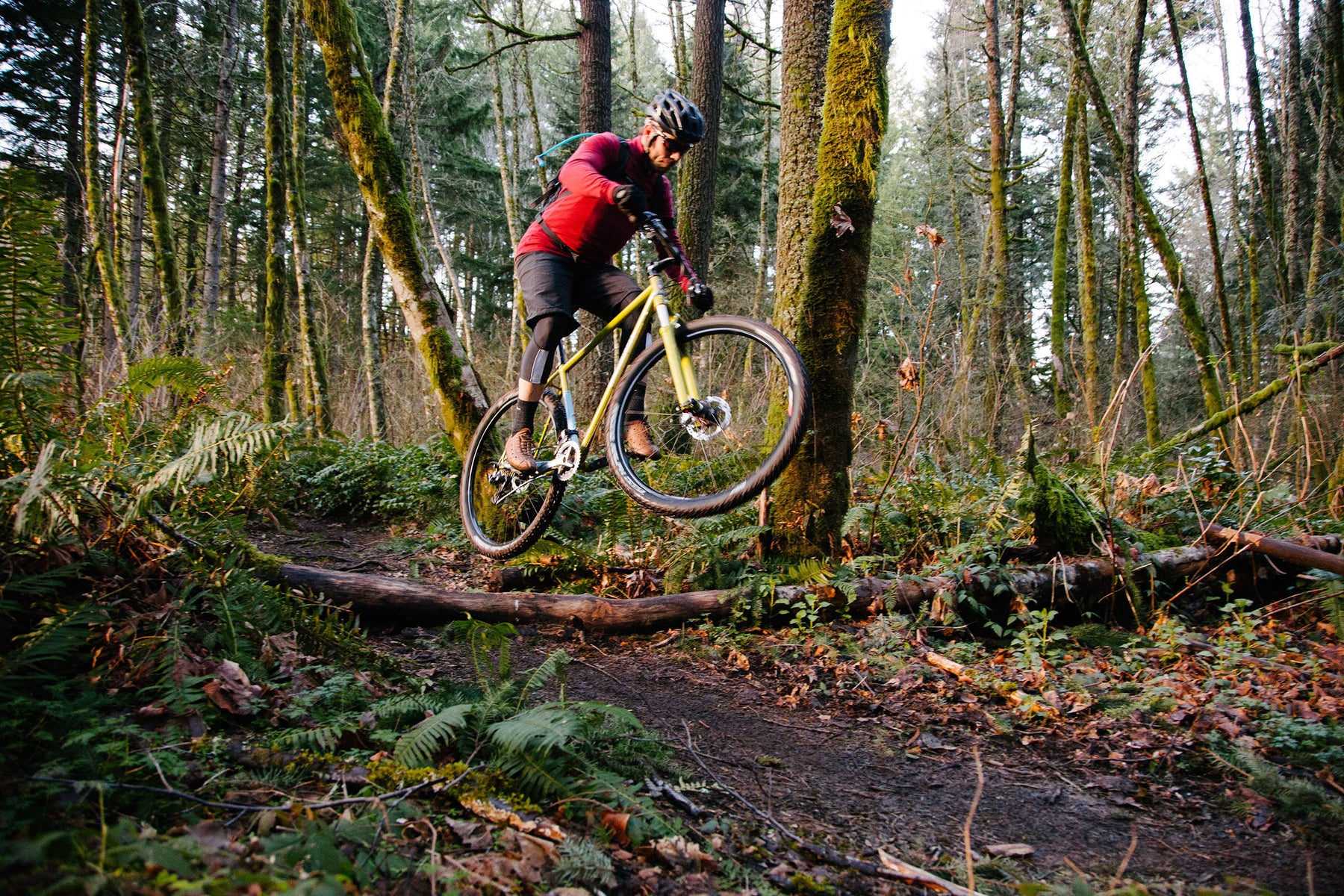 BREADWINNER CYCLES Jb Racer Frame