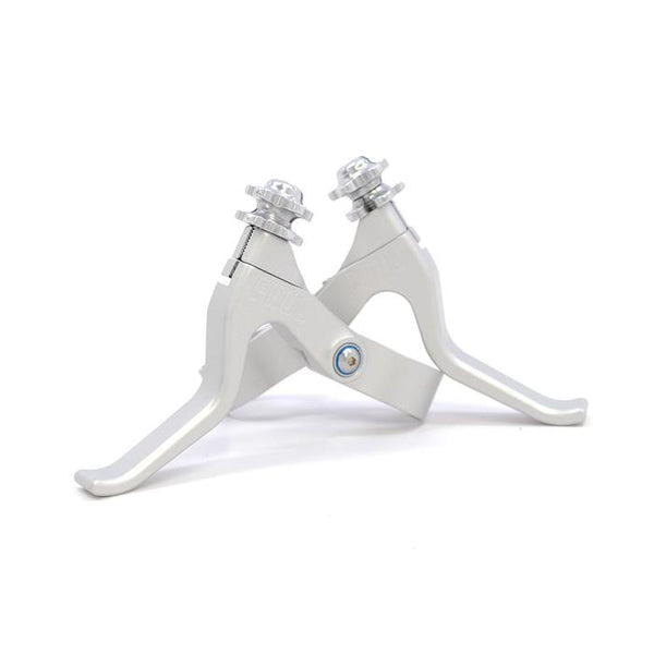 llc_silver_pair-